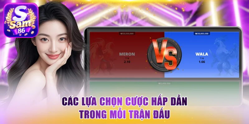 Các lựa chọn cược hấp dẫn trong mỗi trận đấu