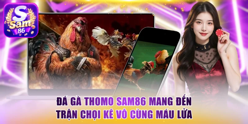 đá gà thomo Sam86