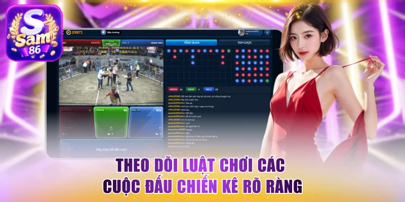 Theo dõi luật chơi các cuộc đấu chiến kê rõ ràng