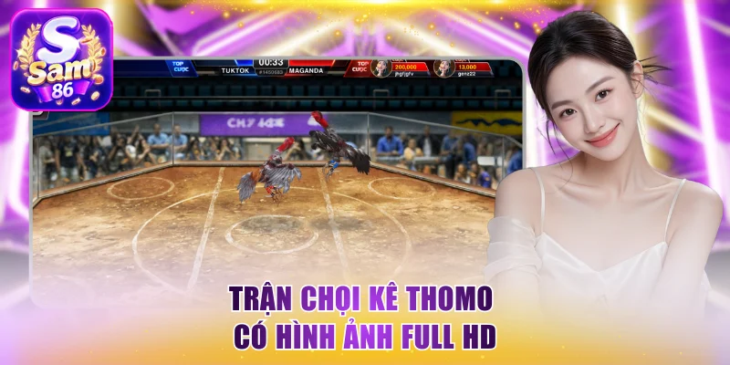 Trận chọi kê Thomo có hình ảnh Full HD